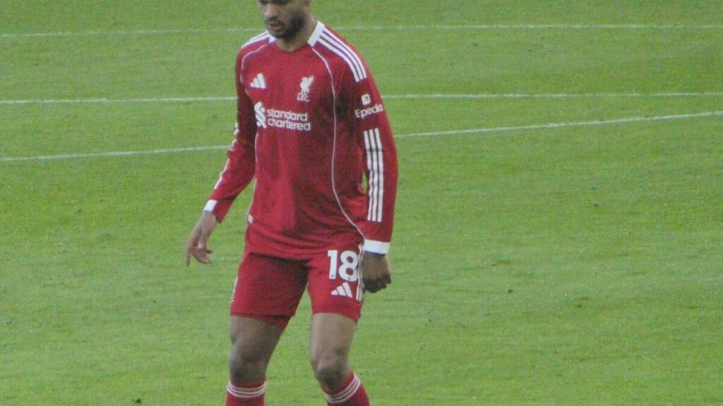 Liverpool : inquiétude pour Gakpo après sa sortie précoce avec les Pays-Bas