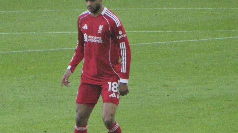 Liverpool : inquiétude pour Gakpo après sa sortie précoce avec les Pays-Bas